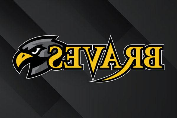 Black Hawk Braves Logo black and yellow logo