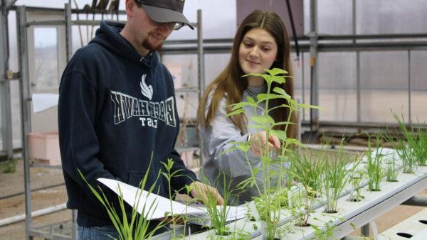 people looking at plants